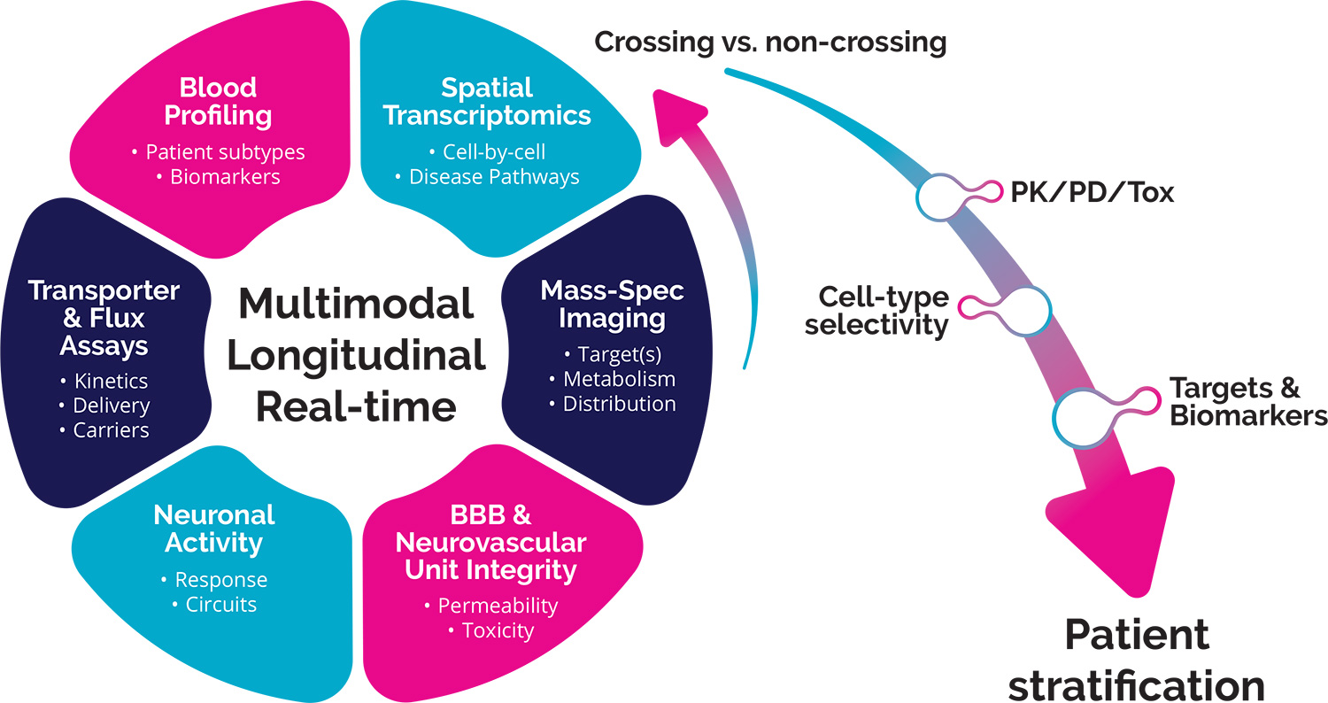 whole-brain-data-flywheel Decision-driving Whole Brain Data Flywheel